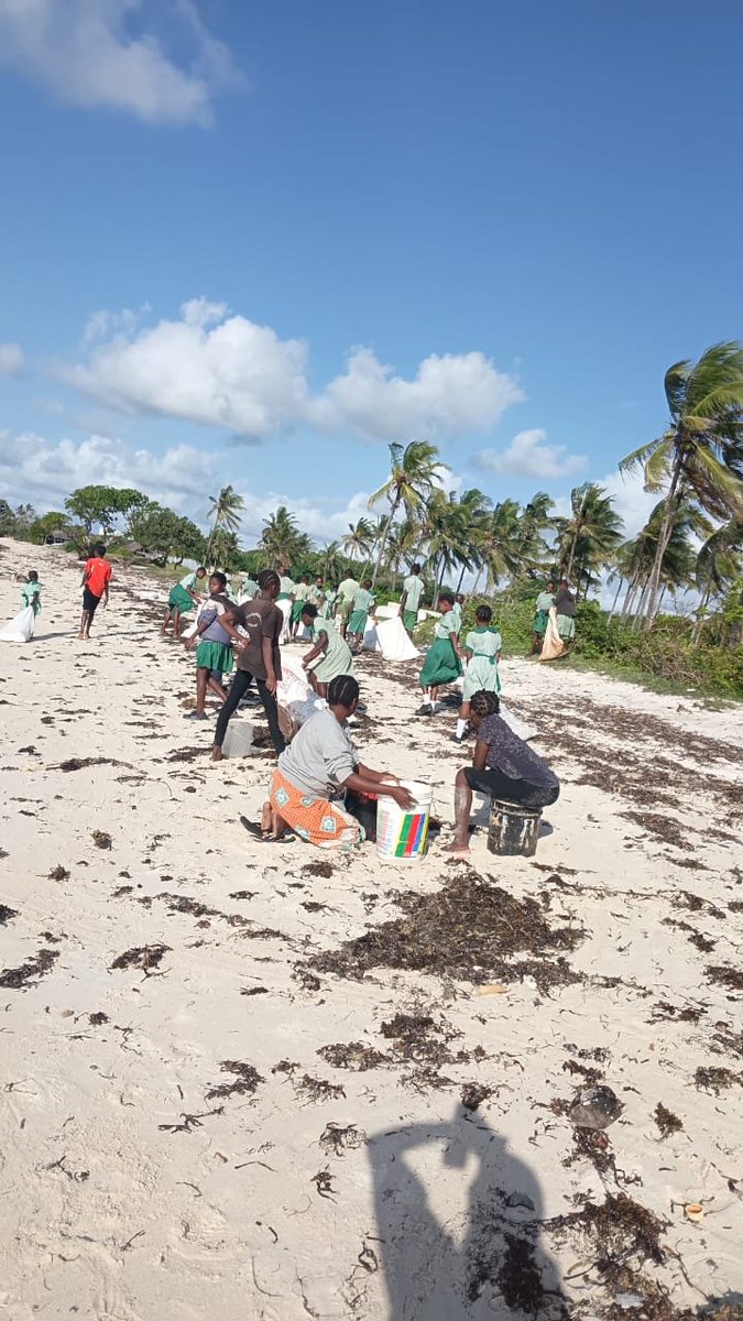 brianom01520984's tweet photo. Learning happens far beyond the classroom walls, especially when protecting our planet's most critical habitats.

Collaborative cleanup exercise with school environmental club stewards, while having first hand experience on pollution impacts in a viable turtle natal ground. https://t.co/Yj1NGgp7Ap
