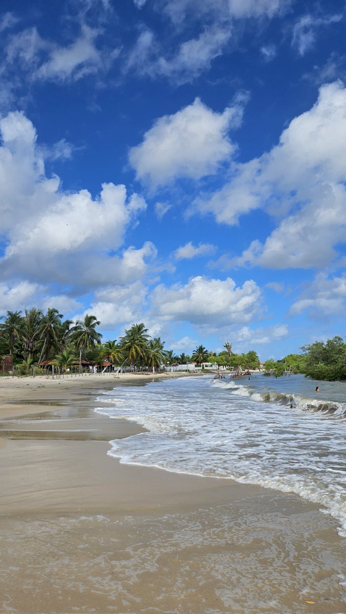 oienicolas's tweet photo. São Luís quando é abençoado com as praias mais lindas https://t.co/ovWLUJQcXp