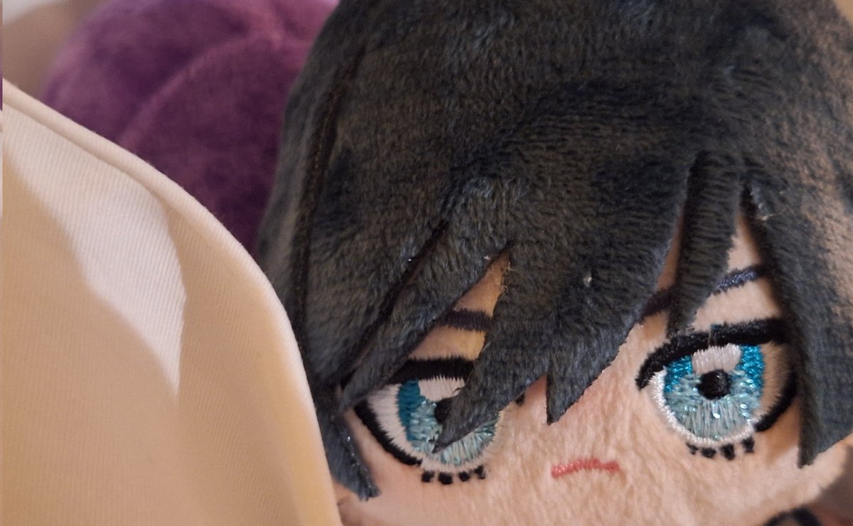 As7keytok's tweet photo. 心の目で見ればいちゃつくrnroぬいが見えます https://t.co/Fg64uapOFf