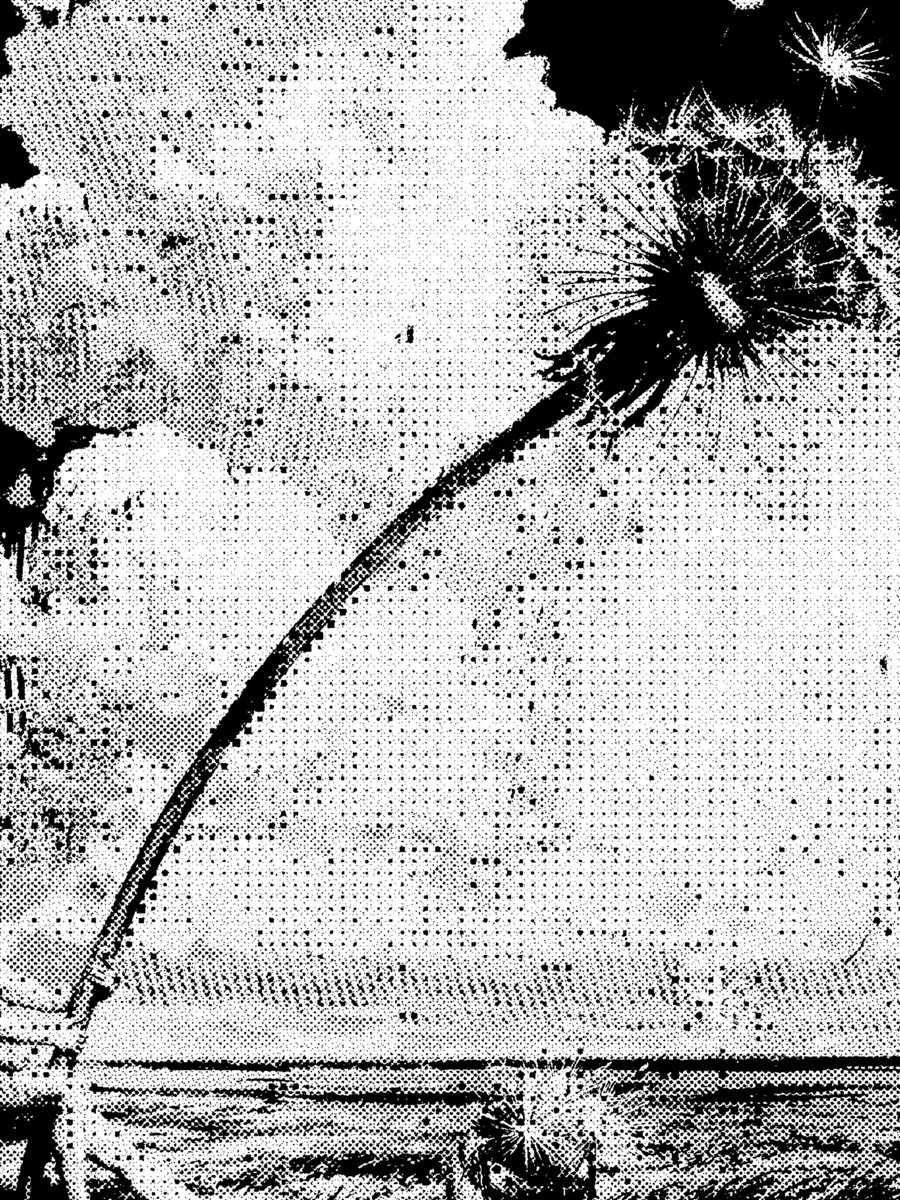 1xharsh's tweet photo. 🌸Epoch #19🌸

Remember, engagement snapshots happen every 4 days. Make sure your GMs are said in time or risk missing the snapshots. 

Day: 3/15
Edition size: 33
Eligibility: Comment or QRT
Partner Artist: [Hint: grandeur of antiquity]

[https://t.co/AZMf8GKsO1]

Gm🤍 https://t.co/MtCljvFK6K