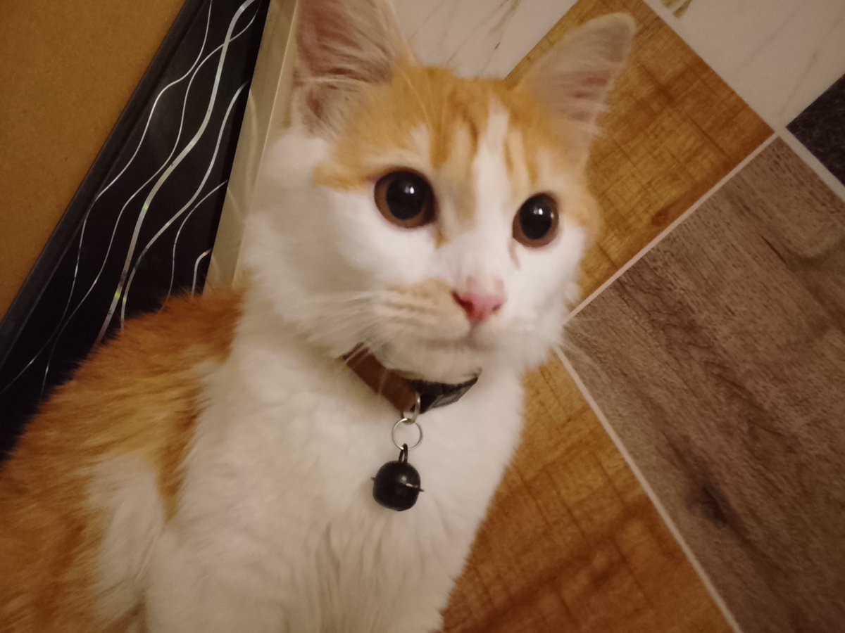Montreals_'s tweet photo. anak ganteng https://t.co/5FTmRxcatB