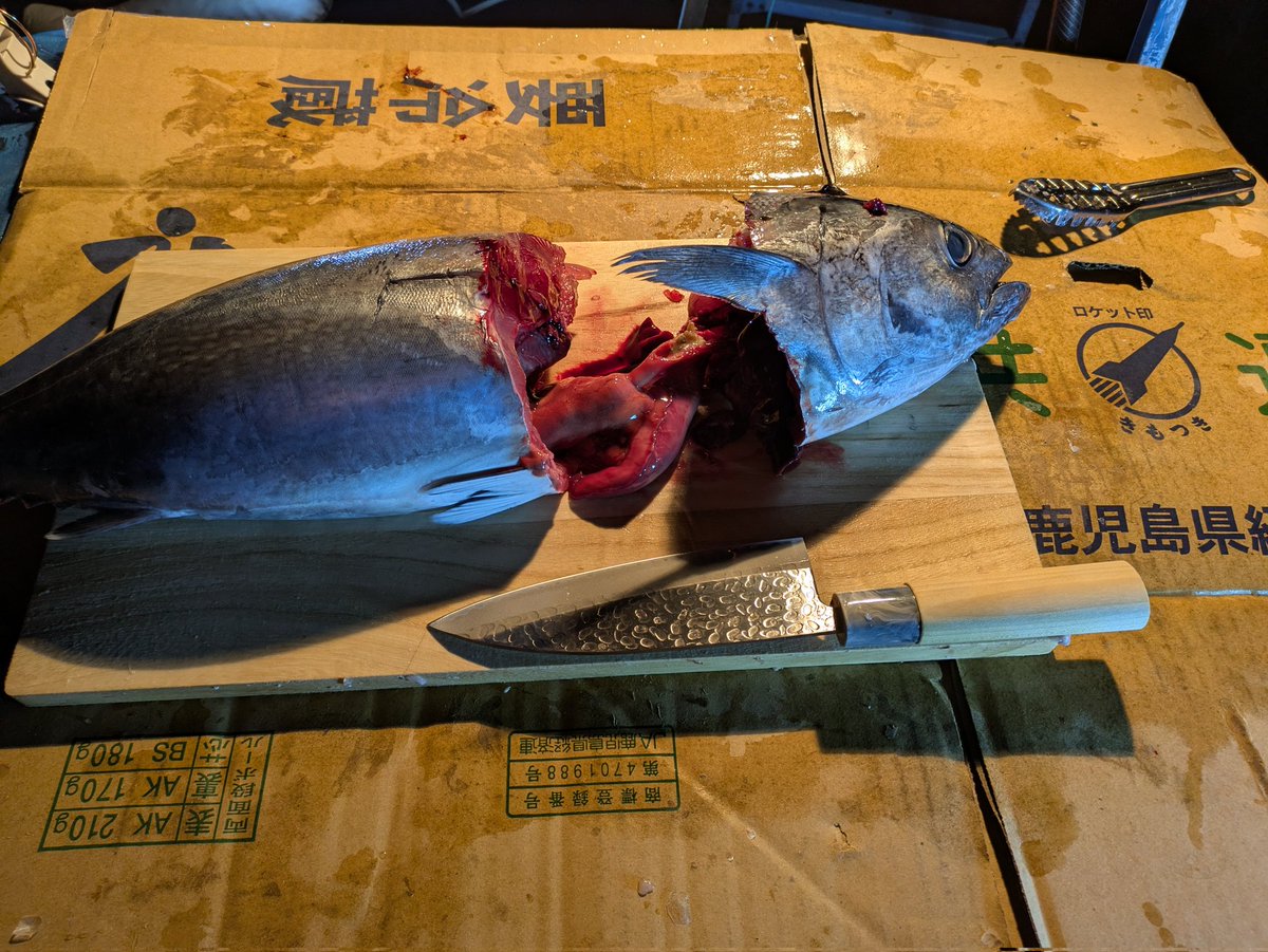 katou_0614's tweet photo. マグロ捌いた💪😤 https://t.co/mVLAmkKmNU