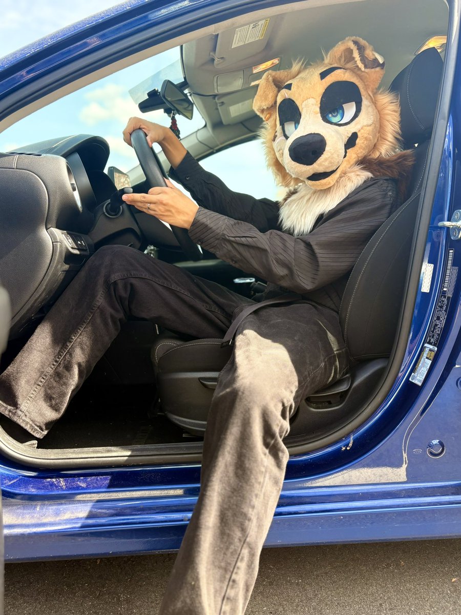 STR33TMUTT's tweet photo. I just realized I never posted this handsome guy!
He’s having lots of fun under my Fiancés care~ 🩷
And is a VERY good boy<3
Can’t wait to make him a proper bodysuit when time allows!!!!
#furry #fursuit #fursuitmaker #furryartist #furryfandom #furryartㅤㅤㅤ https://t.co/XQxqWivaw8