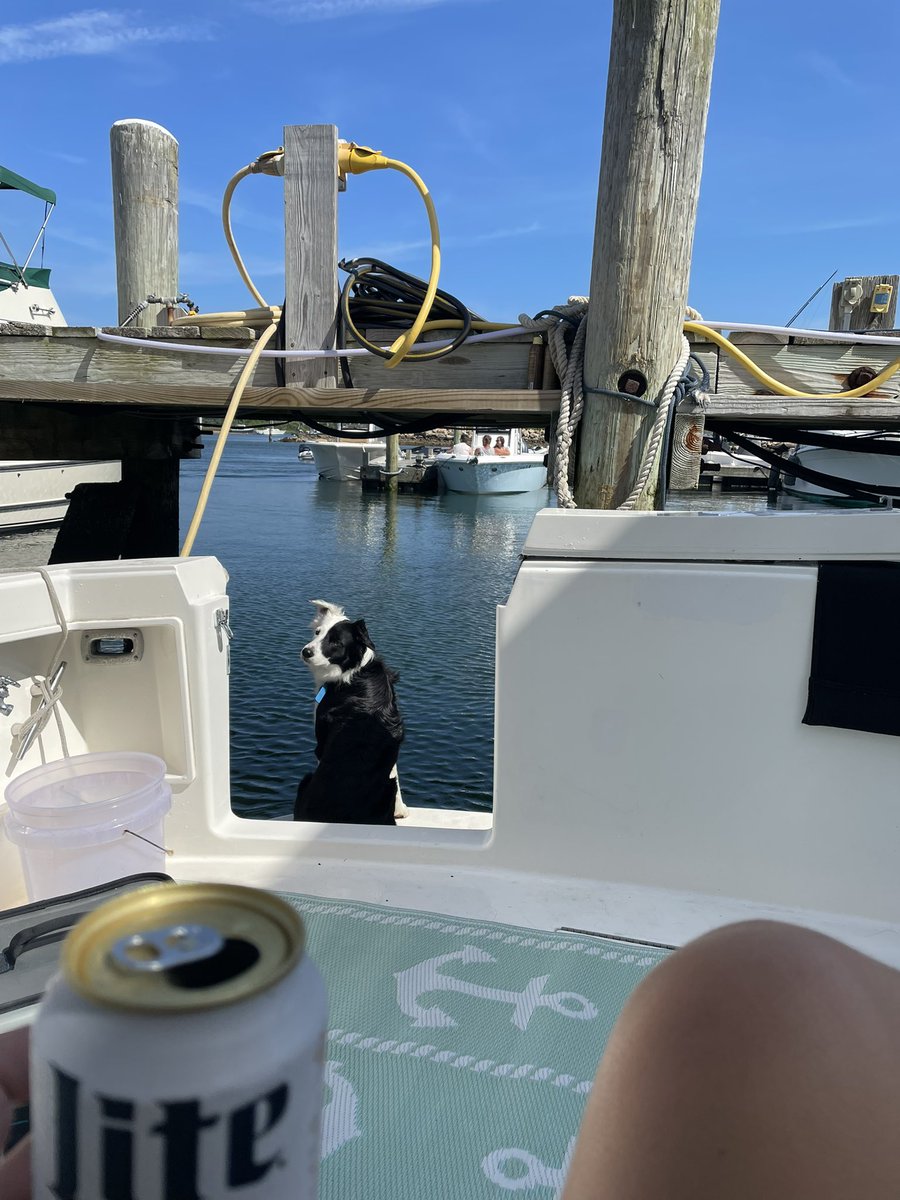 Michael “Godfather” Corleone tweet media