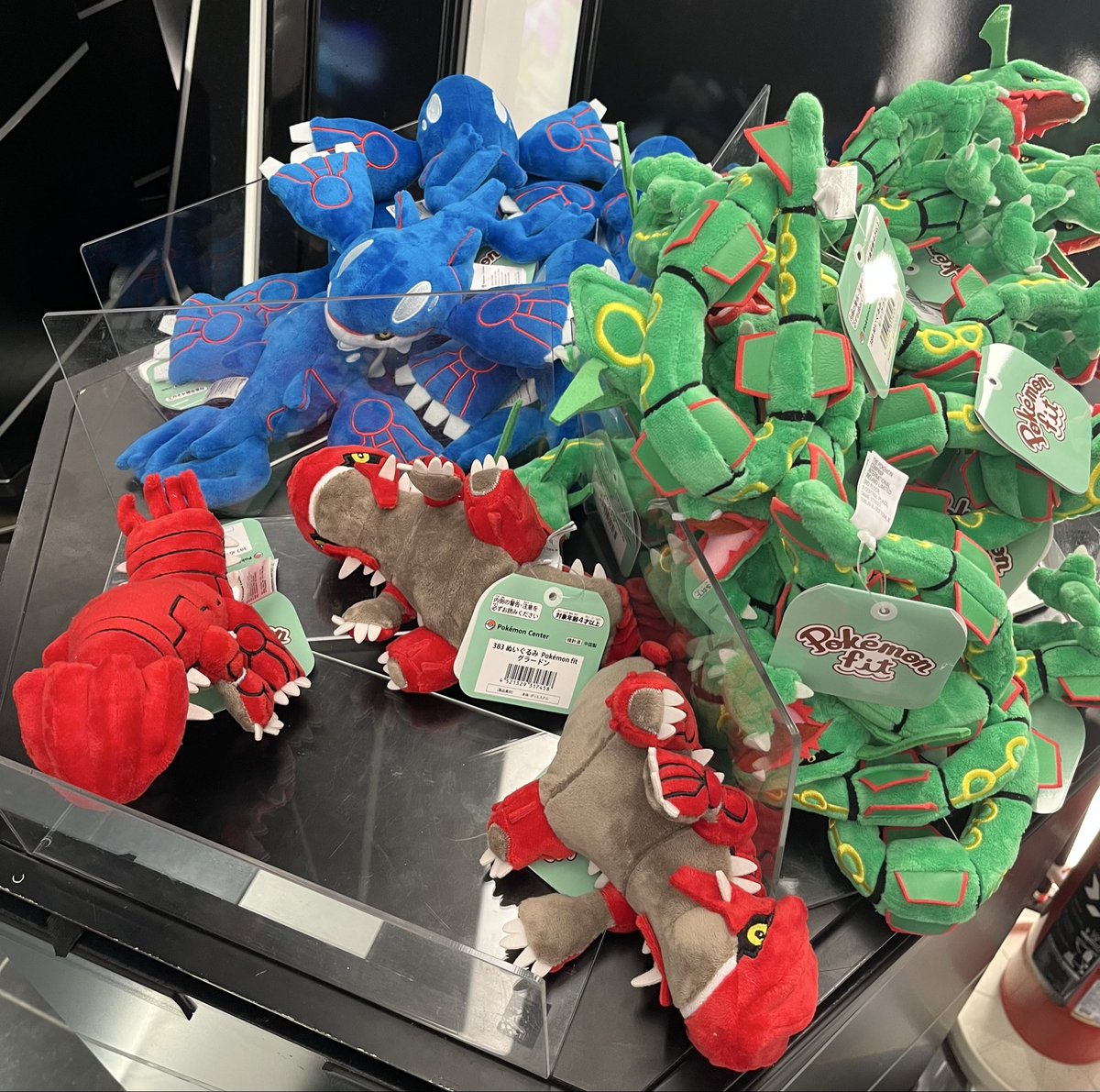 honeページ　メガゲンガーとレックウザ これみてたら メガレックウザ7月末、、夏休みもあるから一緒に