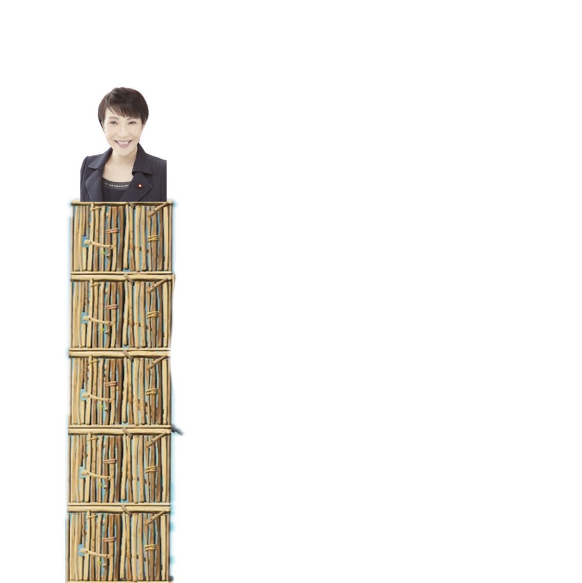 gosurori_gakuma's tweet photo. 高い位置早苗 https://t.co/i5RkK0Xl7i