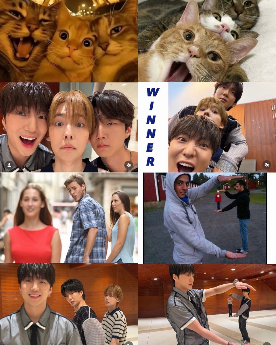 dobbyyosh's tweet photo. winner recreating internet memes😆😁 so adorbs!!! #위너 #WINNER https://t.co/GAm84pExkZ