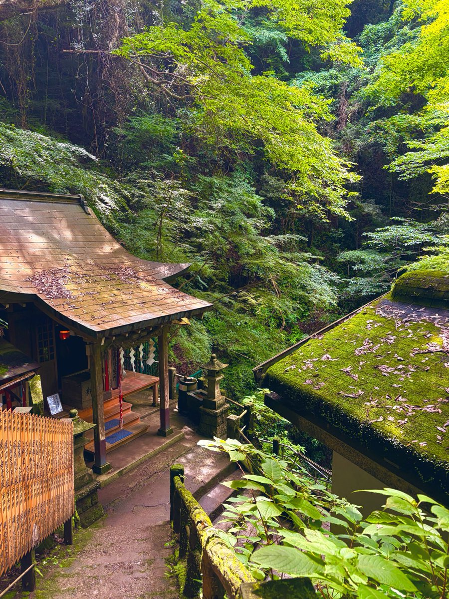 nill__g's tweet photo. 今日は美容室からの山登りへ⛰️
最後は麓の温泉でさっぱりしてきた♨️
おやすみなさい💤 https://t.co/Pa2yDxbolQ