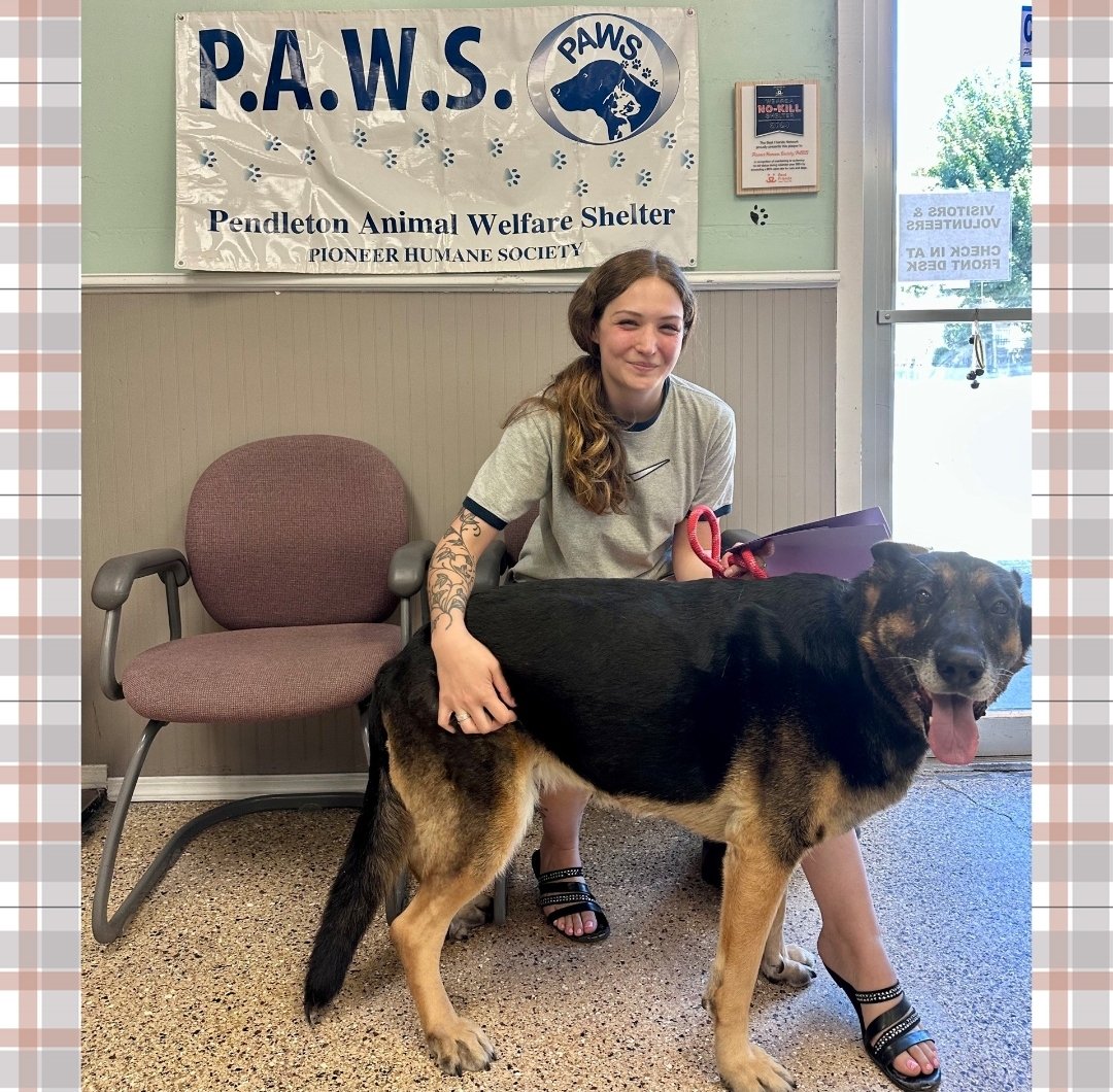PAWSPendletonOR tweet picture
