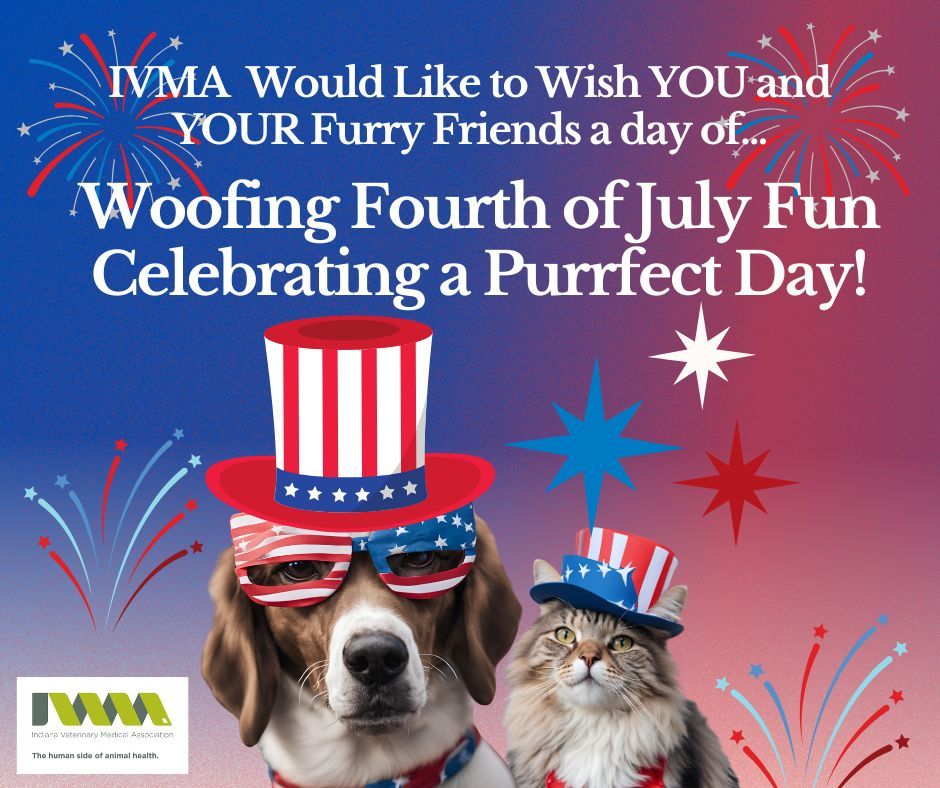 IVMA1 tweet picture