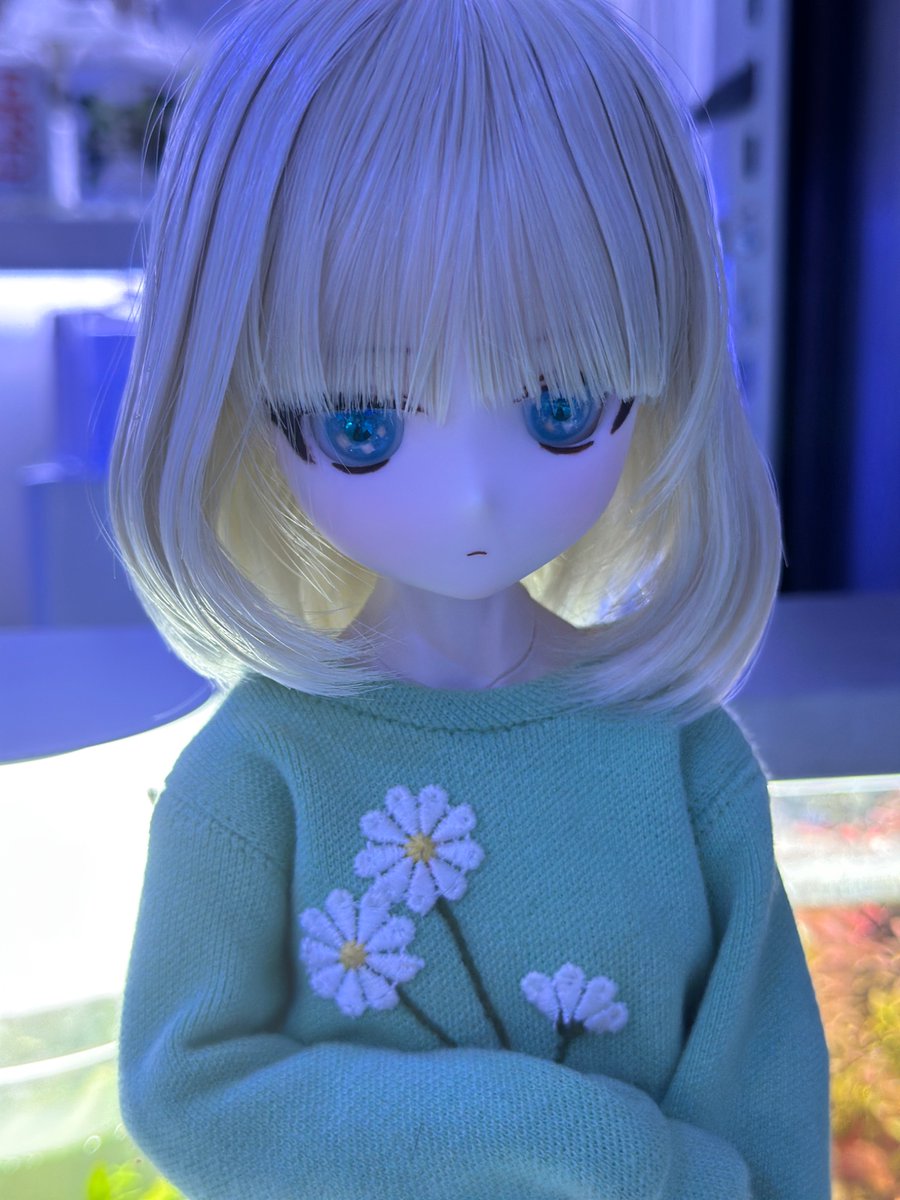 yatsu_doll's tweet photo. 久しぶりに行ってきた！ https://t.co/Aaz034aXJC