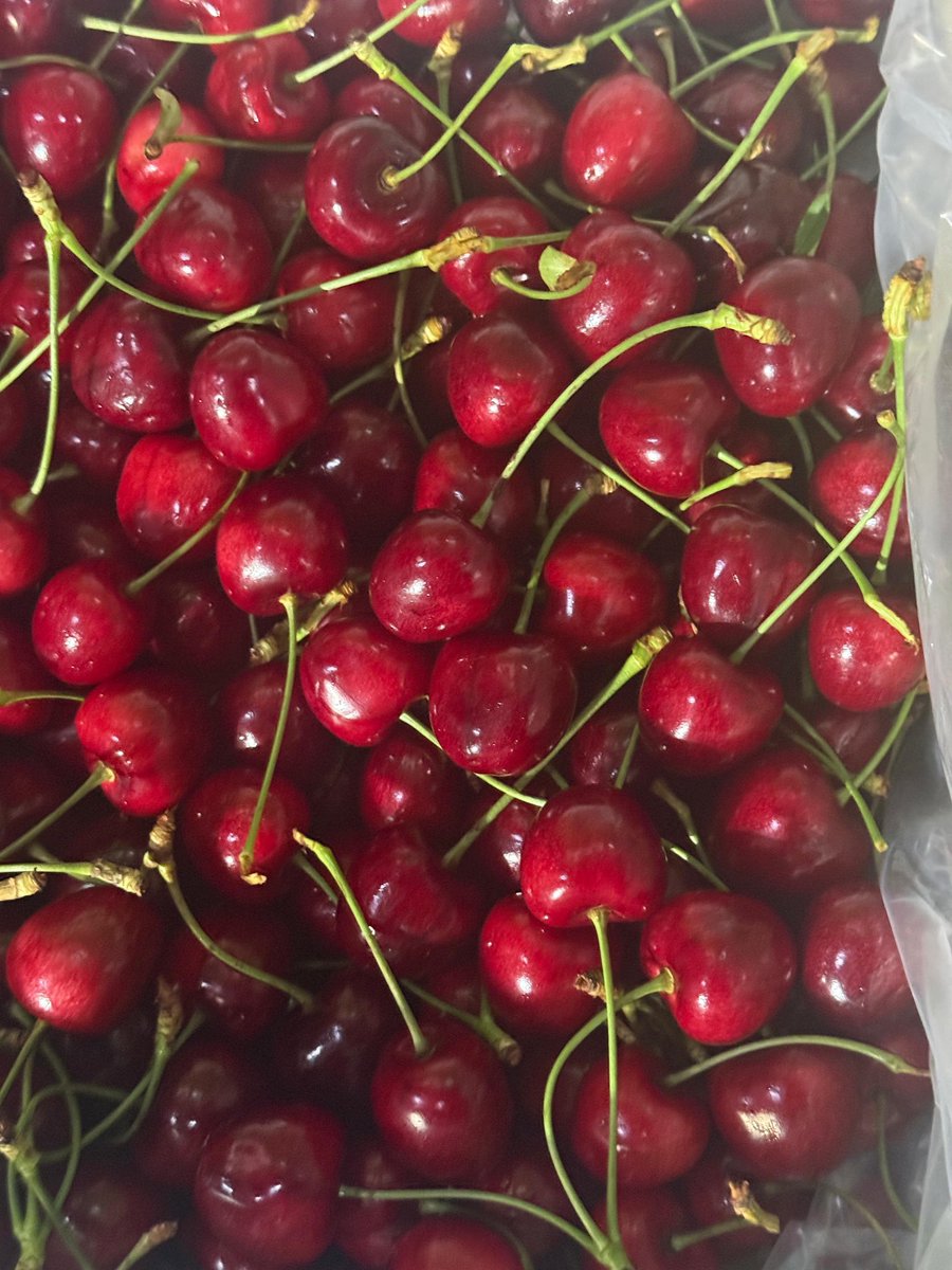 APEDADOC's tweet photo. From the orchards of Jammu & Kashmir to the markets of the UAE. 🇮🇳🍒

APEDA has facilitated the first export shipment of premium Areko Cherries and Scentrose Plums from Shopian and Pulwama to Abu Dhabi and Dubai, opening new global market opportunities for the region’s growers.

This milestone reflects India’s growing strength in exporting premium fresh fruits while enabling farmers to access international markets, realise better returns, and showcase the quality of Indian horticultural produce worldwide.

@PiyushGoyal @DoC_GoI @PIB_India 

#DoC_GoI #APEDA #AgriExport #JammuAndKashmir #FreshFruits #ExportPromotion #VocalForLocal #IndiaExports