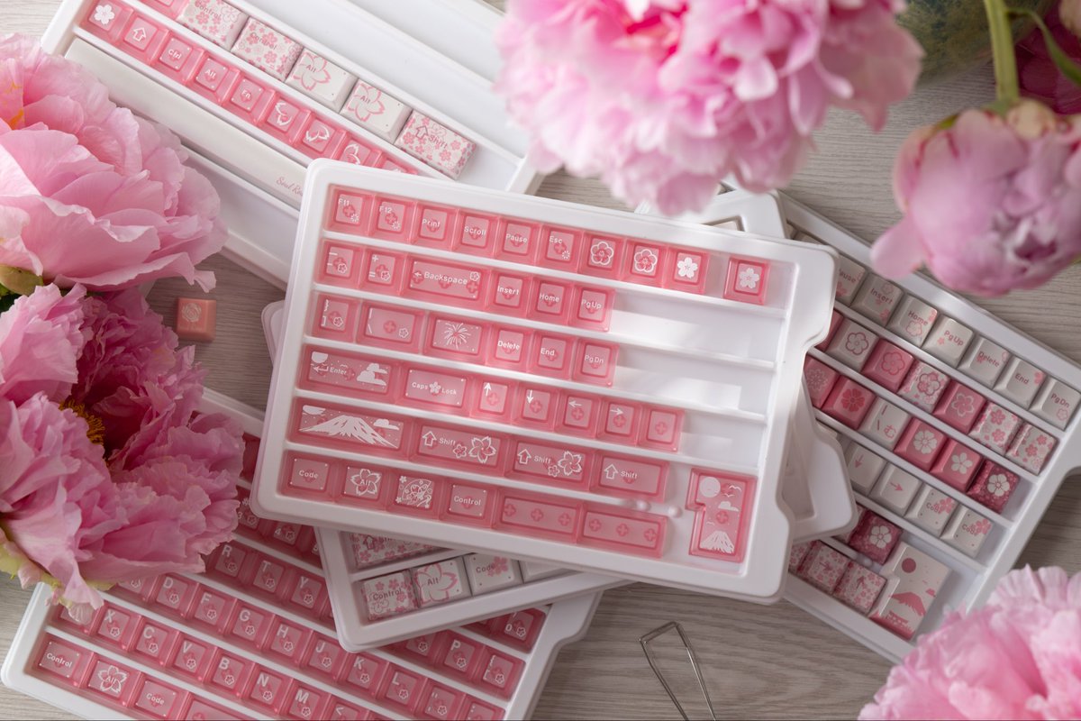 SoulRose_CN's tweet photo. Check out our latest package!👀#keyboard #keycaps #SoulRose https://t.co/YG7IxXycS4