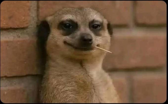𝐀𝐦𝐛𝐡ṛṇī tweet media