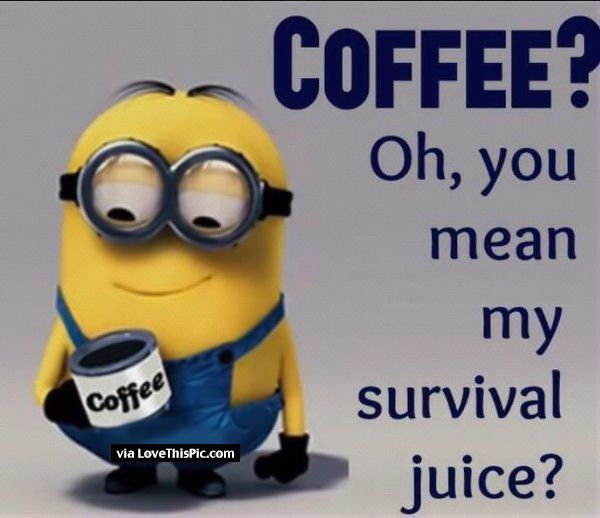 Barney_Coffee's tweet photo. 😂😂😂😂😂😂😂😂😂😂😂 https://t.co/4VfqALgA53