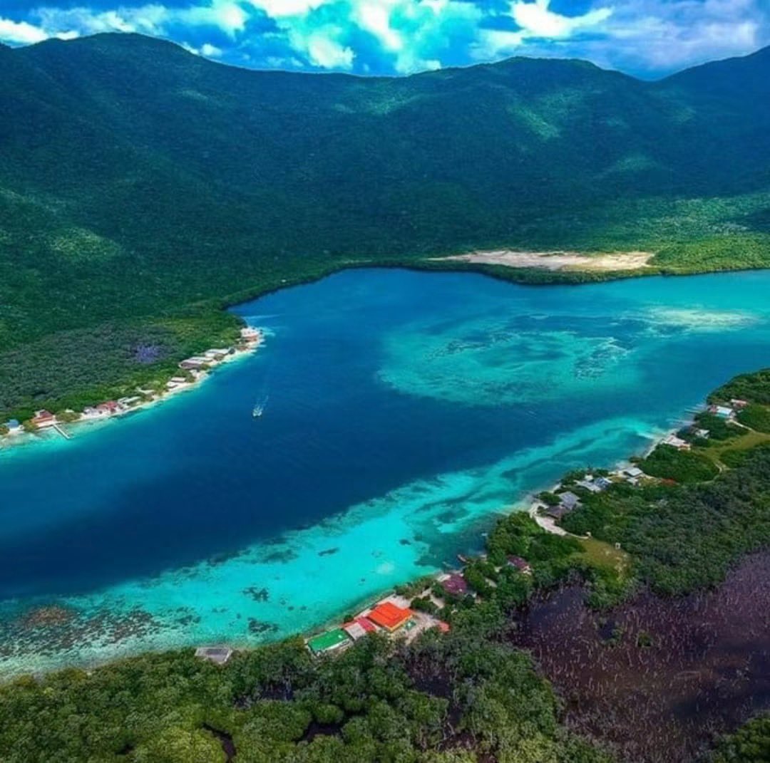 GianlucaCoccon1's tweet photo. Maravillosa 
LA CIENAGA DE OCUMARE 
Ubicada dentro del Parque Nacional Henri Pittier en el 
Edo Aragua VENEZUELA 
🇻🇪🇻🇪🇻🇪🇻🇪🇻🇪🇻🇪🇻🇪🇻🇪🇻🇪🇻🇪🇻🇪
@venezuelaenfoto https://t.co/ciYIdbgVMB