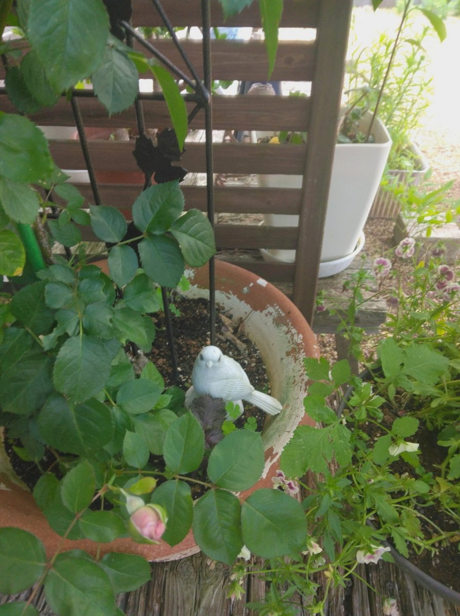 MustafaKourdi's tweet photo. 女子限定池袋アコスタに行ってきたよ
受付と更衣室はスっとできたから空いていたんだと思う
けどコスしない私服参加者(これが謎)と、広場や公園に紛れ込む外国人の人数がすごかった！単独撮影難しい！
いつ���はこの人数＋メンズと男性カメラマンがいるの？キャパもう無理じゃない？ https://t.co/tYI1pkEo0W