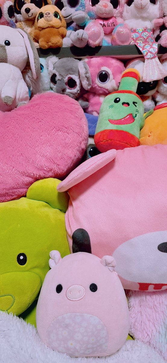 Miichel701's tweet photo. #squishmallows #squishmallow #stuffedanimal #kawaii #toys #toy #collection #collectibles #toycore #toywave #collector #toycollector #decor #aesthetic #plush #plushies #stuffedanimals #stuffed #plushcore #toycollection #piggy #pig #myroom https://t.co/sNIC5w5paI