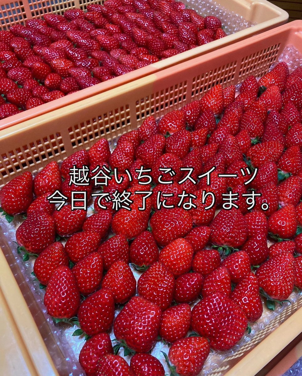 MHosbasak's tweet photo. まだ心はシアターサンモールなのに、もう青年館が始まってほんまに無理、ついていけない鬼スケ https://t.co/KxlZx3ubPd