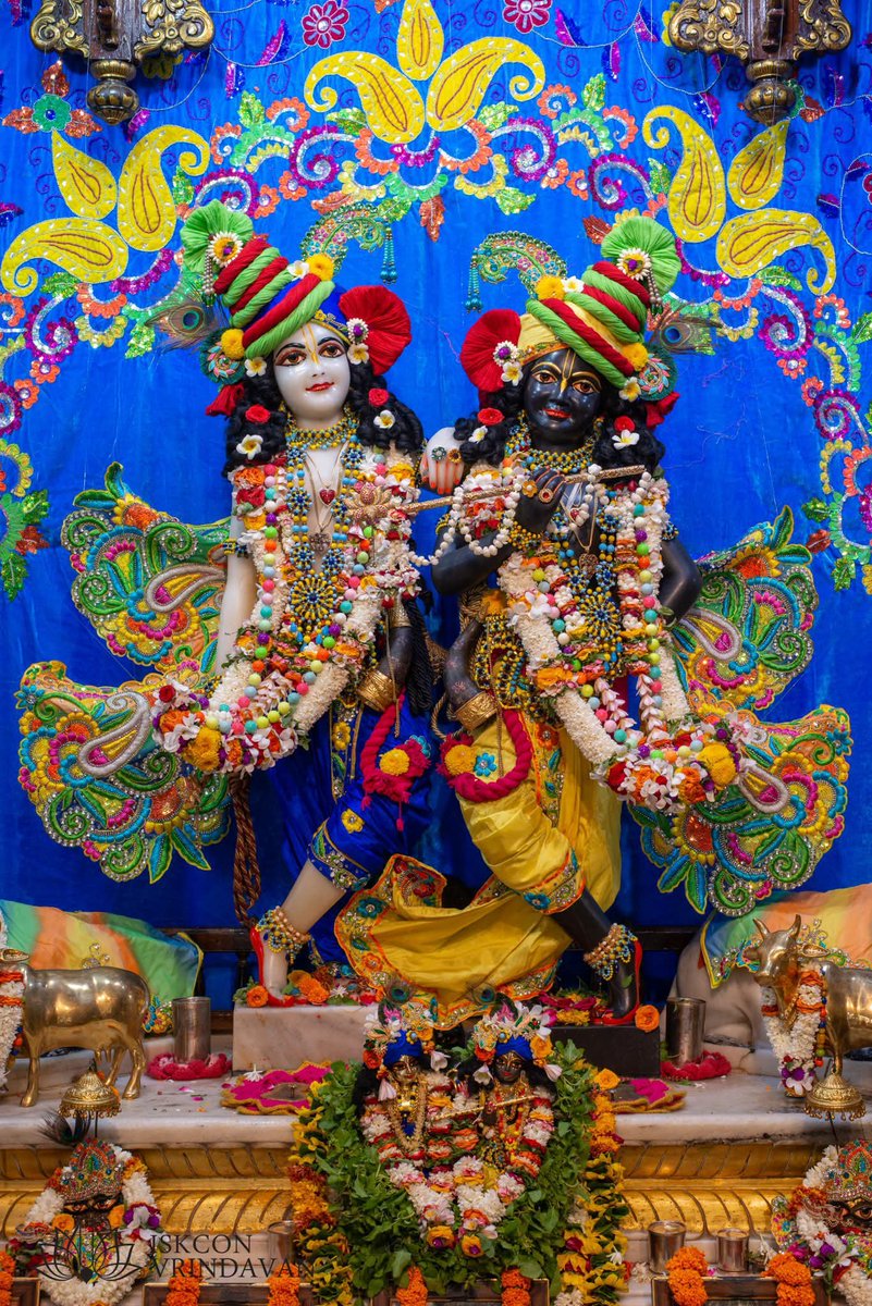 theholy_monk's tweet photo. Today's Singar Darshan 
ISKCON Temple Vrindavan 
Date: 04 Jul 2026 Saturday 

🍎🌷🌿Krishna Balaram 🌿🌷🍎 https://t.co/M41rWhyhe3