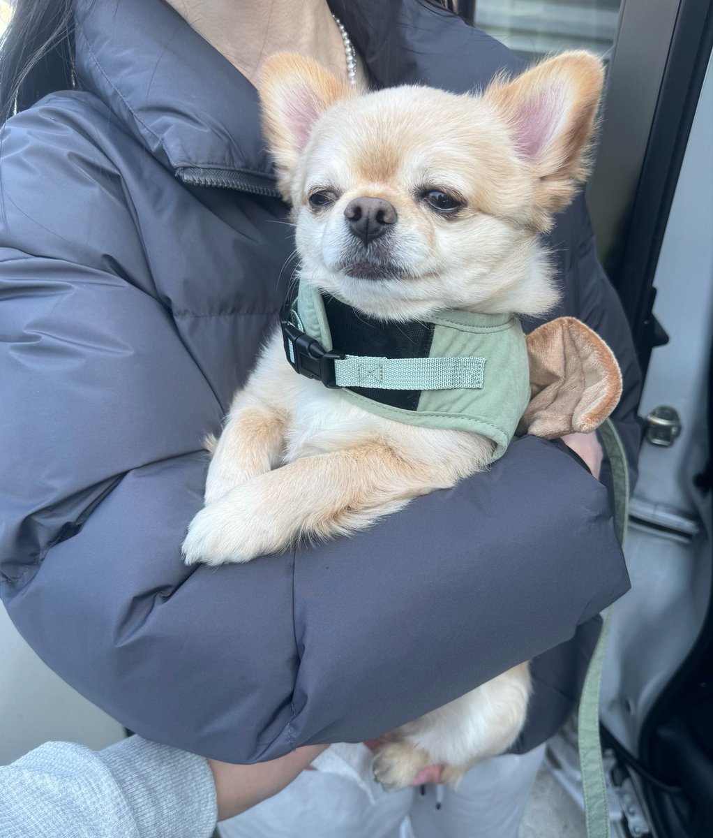 731ten's tweet photo. https://t.co/5beaGQTvL3
