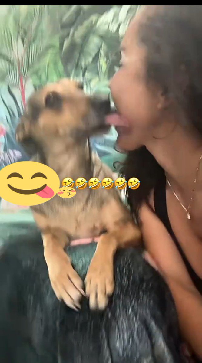 Elodiepaws's tweet photo. Come satisfy your fantasy as you watch me get knotted by my beast Curiousity ride to adventures, ask for menu
👇👇👇👇👇
https://t.co/HqCJKxtUSV
#doglover #dogknotting #dogsex #knotty #dog #puppy #dogwhore #dogwoman #transgender #dogwhore #artofzoo #zoocontents #beastialit https://t.co/gNfpEseV2G