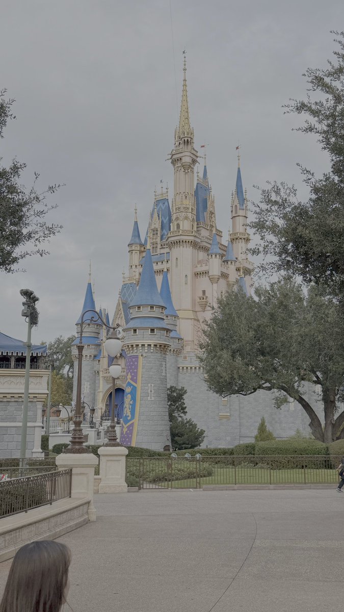 _HiddenMagic's tweet photo. That moment when she knows we’re off to Walt Disney World without her 💔🏰 https://t.co/UqCnBcsJ7S