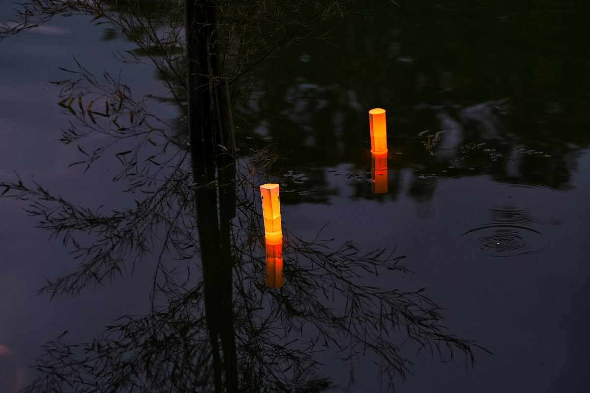 Hello3755221's tweet photo. 大宮公園で開催されている
「七夕TANABATA - 大宮の天の川 -」へ行ってきました

願い事を書いた和紙を舟遊池に流す「言の葉ながし」や
音楽の演奏があり、とても幻想的な空間でした…！

屋台もたくさん出ていて、大勢の人で賑わっていました

※大宮公園 舟遊池の画像です

#大宮公園 #七夕 https://t.co/SNyHO6QCRi