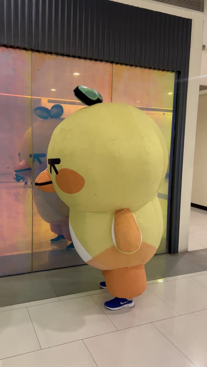 ohsehunph412_'s tweet photo. Pahabaan sila nguso HAHAHAHAHA apakacutiee

-pctto- 🧡 https://t.co/MIAOjqyvEy