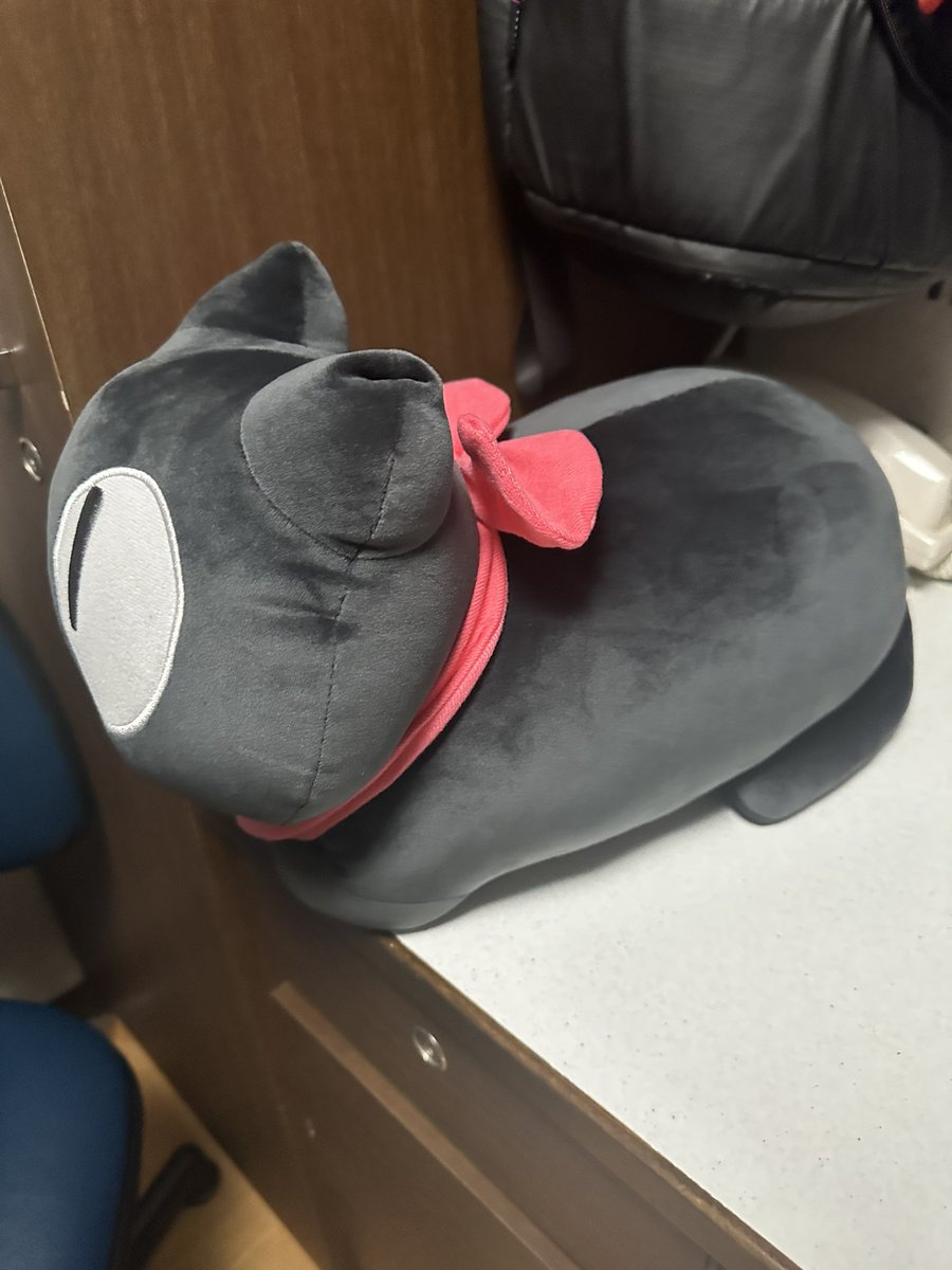 mema_altm's tweet photo. かわいい https://t.co/rsDX1wVWjg