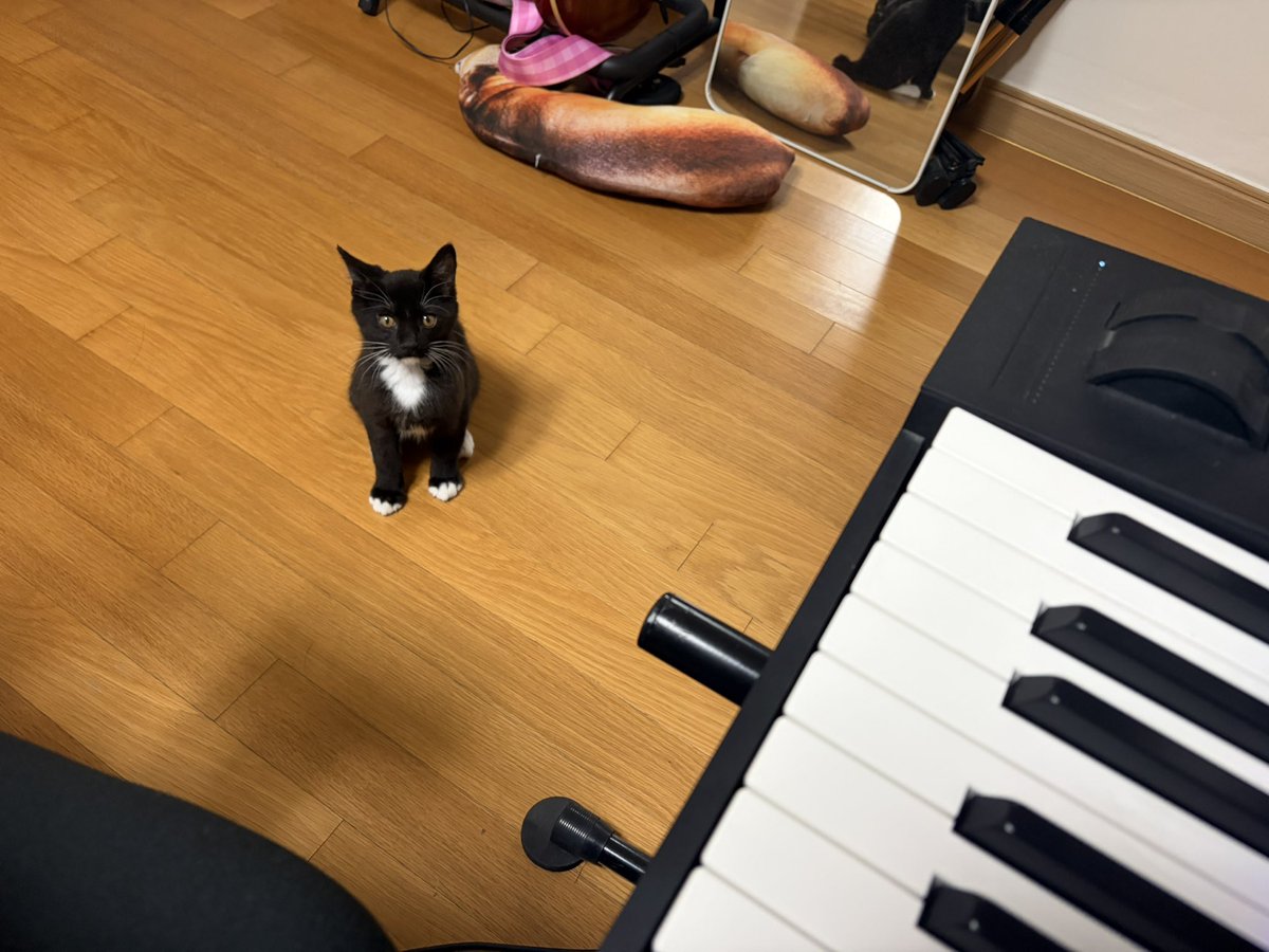 sionuu's tweet photo. 近況です https://t.co/hLloynwmer