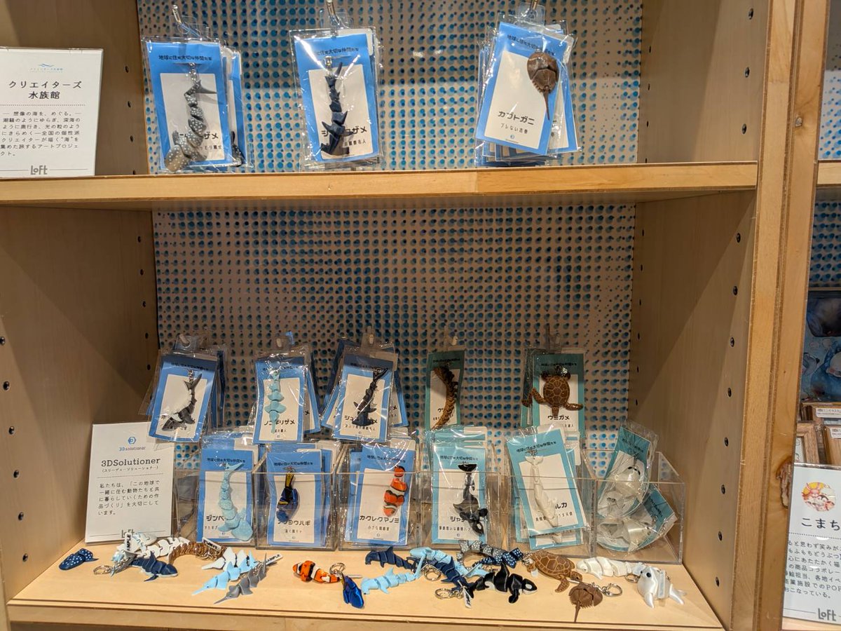 3dsolutioner58's tweet photo. 現在、#銀座ロフト 
で開催されている
#旅する水族館
に参加させていただいてます🩵
お迎えいただいた方、ちらっと見てくださった方、大変嬉しいです🩵

シャチ、カブトガニ、ウツボ、ウミガメ、カクレクマノミ、アザラシ
↑
追加納品の準備を進めていますので、今しばらくお待ちくださいませ。 https://t.co/LCT0aMK65n