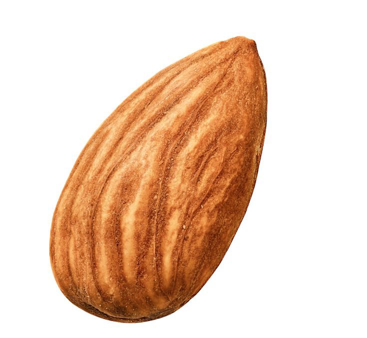 loviesteepor's tweet photo. that one bl pair

#almondprogress https://t.co/sfdJ1yGHiz