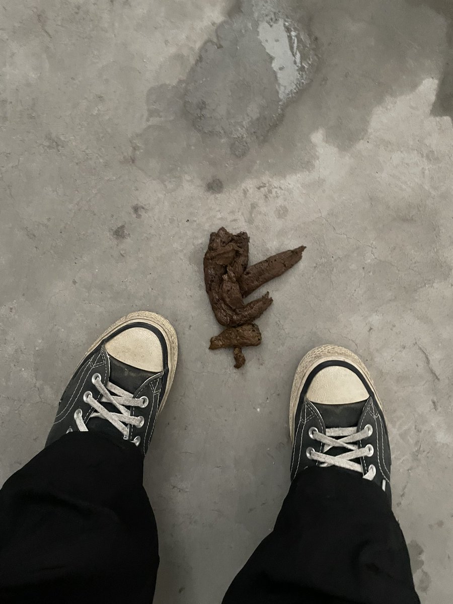 ZPing07's tweet photo. 职高中专技校女神又来拉屎了，一群废物国男畜生看到直流口水了，好刺激啊，哈哈哈，拉屎撒尿给畜生贱狗吃 #女神 #女权 #留学生活 #高智商 #女性崇拜 #护士 #彩礼 #女性独立 #拉屎 #厕奴 #内裤 #职高 #护理 https://t.co/nYXUI78BVs