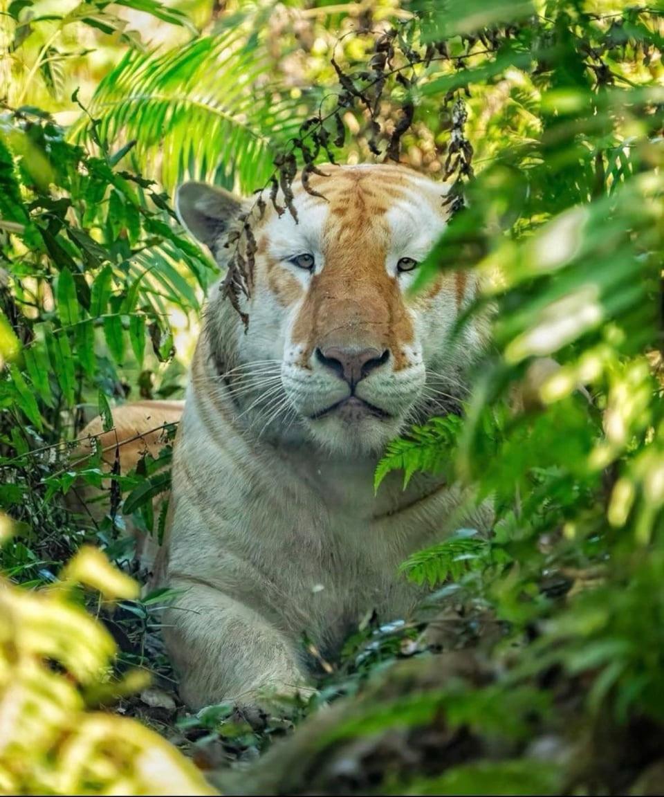 Nature is Amazing ☘️ tweet media