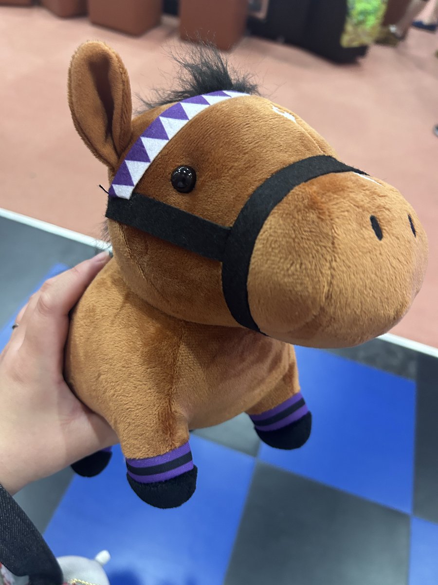 ryuuka1219's tweet photo. おドウが仲間入りしたぞ🐎💨 https://t.co/OmxQgII3Qx