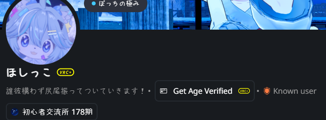 ほしっこ🌟VRChat tweet media