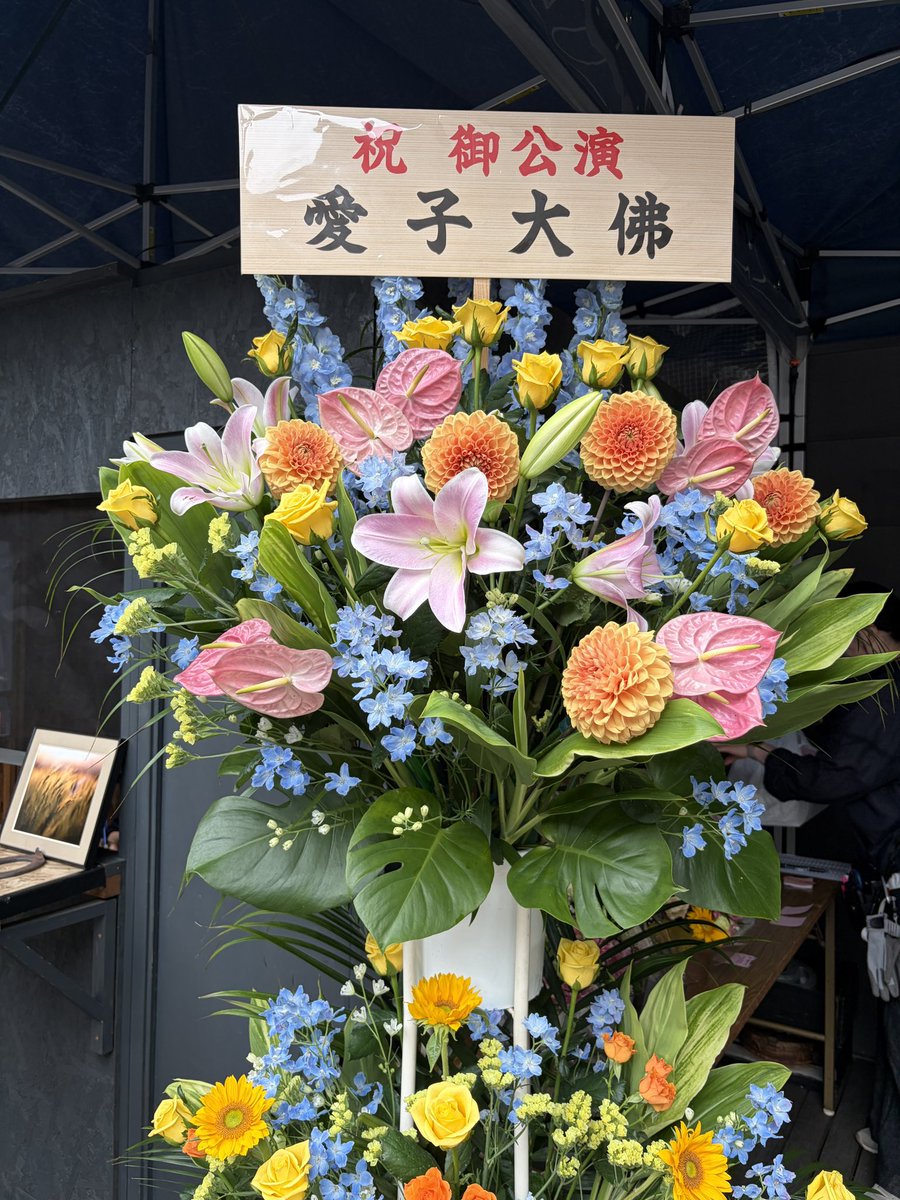 OpticVoice's tweet photo. 今日は、劇団「麦」のサクラパパオーを観に。
入り口では愛子大佛からの素敵なお花がお出迎え。愛子大佛のイベントに100%協力してくださるなほみさん。
かっこよかった🩷リズム良く進むお話、個々のキャラクターが際立っていてさすが老舗の劇団！なほみさんの真の姿を見たわ。凄い女優よ🫶
#劇団麦 https://t.co/pOVdG5J7e7