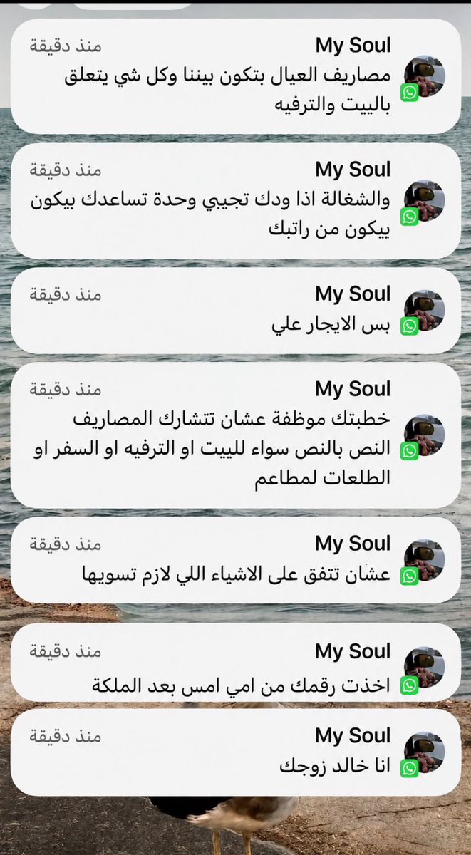 ياسمين tweet media