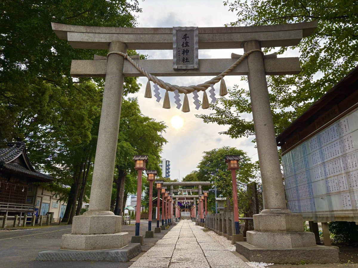 komainu_reality's tweet photo. ⛩️千住神社に行ってきました⛩️

去年コラボさせていただいた神社です
短冊に七夕のお願い事飾ってきたよ🎋

アニサマ無事に成功しますように
沢山の参拝者さんに巡り会えますように https://t.co/WnSoh0DDjB