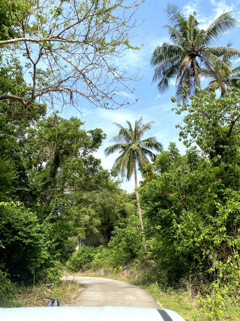 SANDRADLM93's tweet photo. Koh tao https://t.co/95pbVNJ9c2