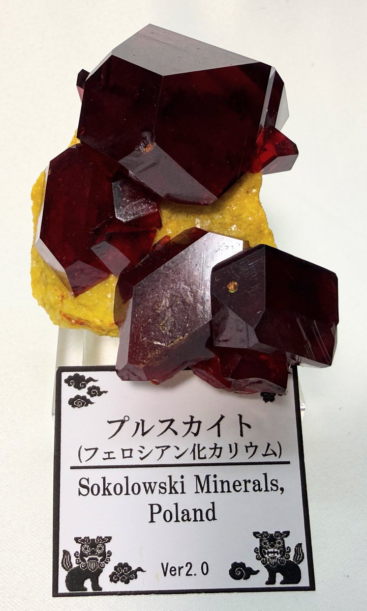 kaki_mummy's tweet photo. たっちゃんの所でお会計中に見つけたフォスフェイト
透明な結晶に青斑の芯がありファントムっぽい
置き場が無いから売ってと委託された品
その後シーサーズラボさんのところに行ってプルスカイト
透過するとめちゃくちゃ綺麗、でも人工結晶なので物凄く安い
シーサーズ・ラボ @shisas_lab https://t.co/BM0HmYnLB7