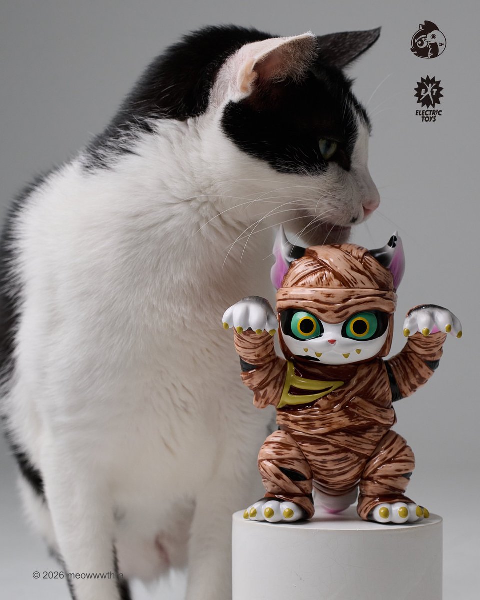 ニャスラ WF2026S 2-39-02 (@meowwwthra) / Posts / X