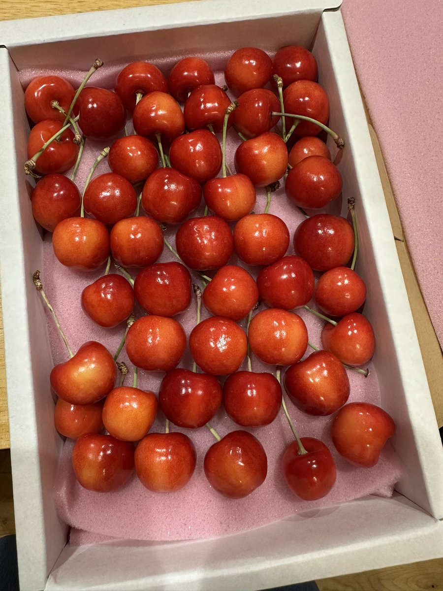 ohno_lisa's tweet photo. 果物は欠かせない我が家。
さくらんぼ🍒をこんなに満喫できるのはよーこさん@youko4258 のおかげ。
紅てまりちゃんも、美味しくいただきます！！ https://t.co/Q5gQTRyT4N
