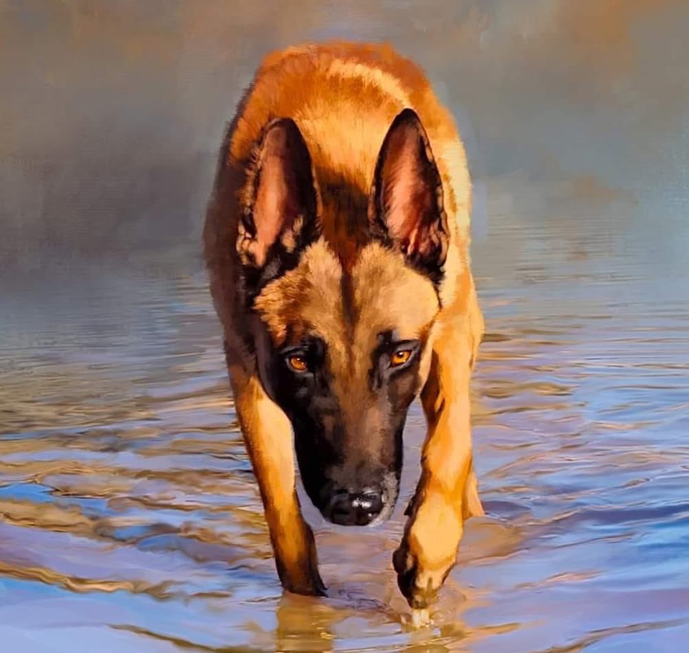 namji657's tweet photo. @cryptolyxe Keep going🐕 https://t.co/hABmHIMbDa