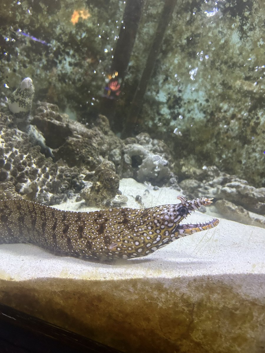 tyun0428's tweet photo. 水族館もいった！友達がいっぱい写真撮ってくれた https://t.co/EVXgCb6qsh