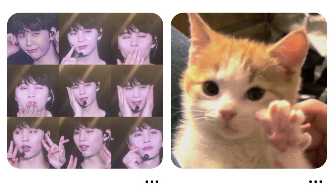 blibear's tweet photo. ไหนแมวตุวจิง https://t.co/ppaNMVF4w4