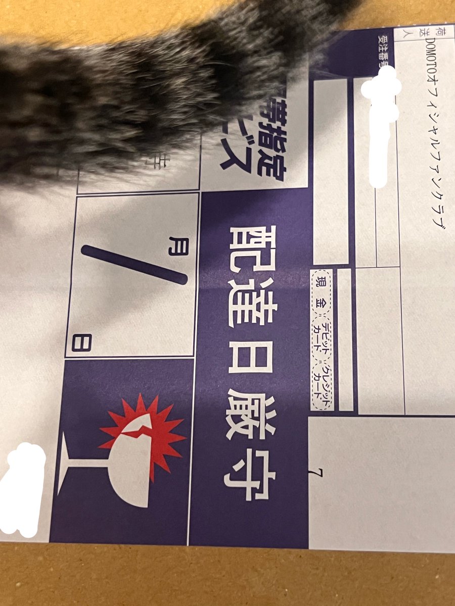 WingsENDRECHERI's tweet photo. うちにも届きまし��
今年のLIVEグッズ✨
#DOMOTO #staywithme https://t.co/YZGiM6FF7j