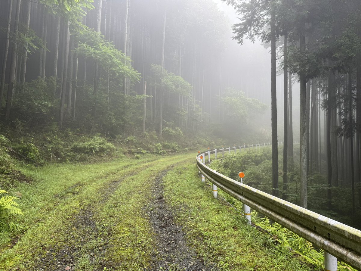 6maeda's tweet photo. オカルト好きとしてガスってる山にハマりそう https://t.co/pwzUwTCr60
