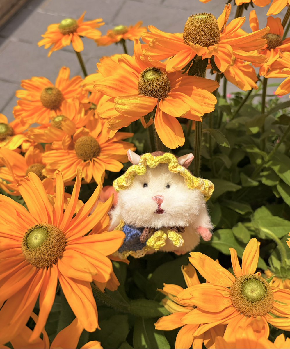 Kimuchimutti's tweet photo. ｷﾑﾁもお花のなかまになれたかな https://t.co/rNhwx4PMYz